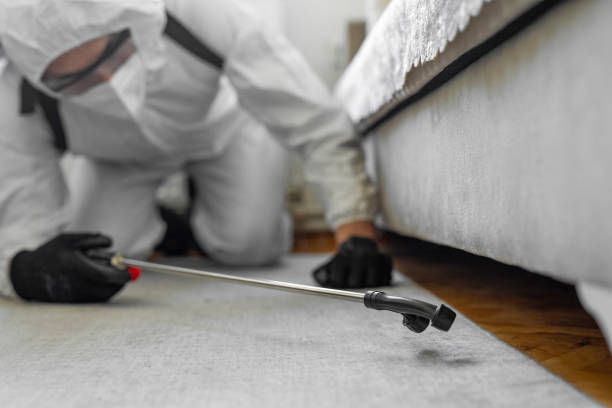 Professional Ant Control technician working in Eaton Estates, OH