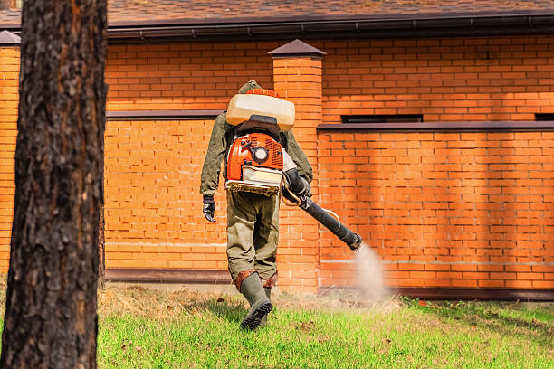 Trusted Emergency Pest Control service in Eaton Estates, OH - Nex Pest Control